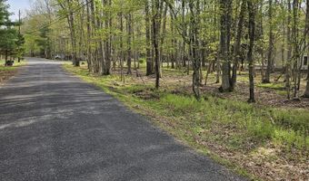 Towamensing Trail & Whitman Lane, Albrightsville, PA 18210