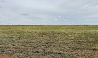 4 F M 2060, Abernathy, TX 79311