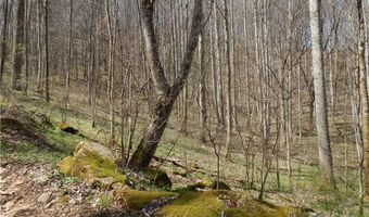 Gentry Farm Road, Aurora, NC 28743