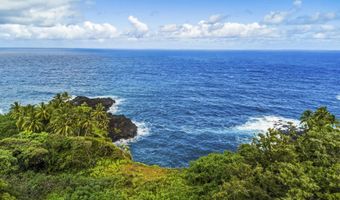 1155 Lower Nahiku Rd, Hana, HI 96753