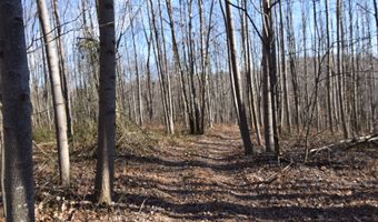 S Harts Gravel Road, Birdseye, IN 47513