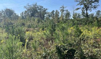 SHORE DRIVE, Ashville, AL 35953