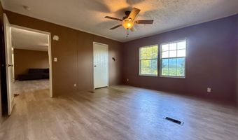 943 Newman Hollow Rd, Bean Station, TN 37708