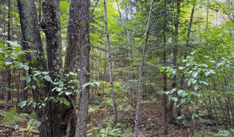 County Road Y, Aniwa, WI 54408