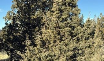 Canvasback Drive, Bonanza, OR 97623