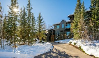 386 Pfister Dr, Aspen, CO 81611