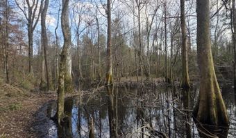 U.S. Highway 51, Bogue Chitto, MS 39629