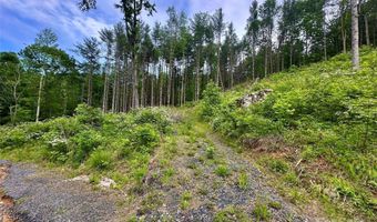 Pumpkin Patch Road, Bakersville, NC 28705