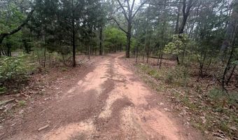 UNIT # 263B KIAMICHI WILDERNESS RD Unit # 63 63, Antlers, OK 74523