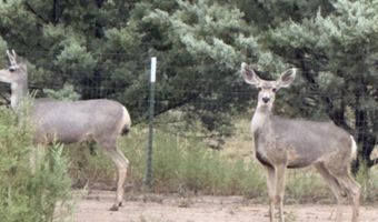 2820 N Cobey Joe Trl, Chino Valley, AZ 86323
