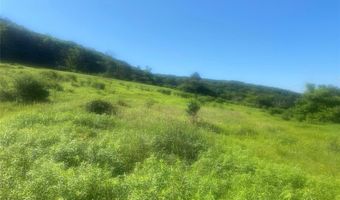 5249 State Route 21, Alfred, NY 14803