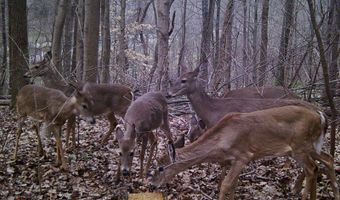 Strouds Run Rd, Athens, OH 45701