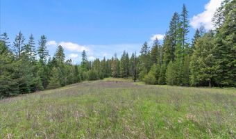 Nna Mesa Drive, Careywood, ID 83809