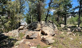 383 Evergreen Rd, Black Hawk, CO 80422