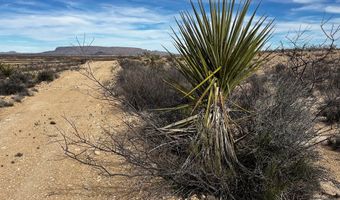 13910 Rancho Manana Loop, Terlingua, TX 79830