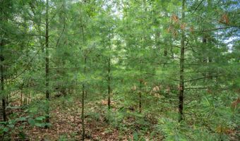 5 Ac 19th Ct, Arkdale, WI 54613