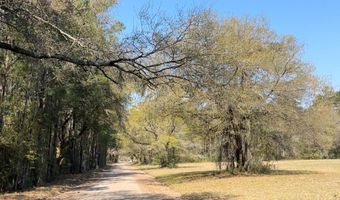 Old Military Road lot # 3, Adams Run, SC 29426