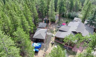 2420 Big Owl Rd, Allenspark, CO 80510