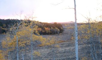 25 CYCLONE Pl, Daniel, WY 83115