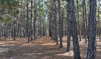 Highway 112, Abbeville, GA 31001