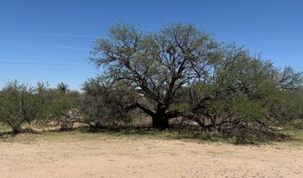 2720 W Blueflax Ln, Benson, AZ 85602