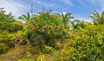 15-1642 6TH Ave, Keaau, HI 96749