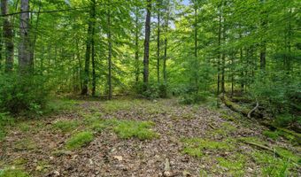 1125 39th St, Allegan, MI 49010