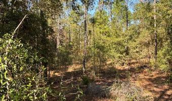 Lot 10 16th Ave, Bell, FL 32619