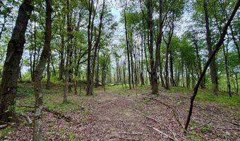 566 A Tunnel Ridge Rd, Argillite, KY 41121