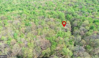 2461 OLD MORGANTOWN Rd E, Accident, MD 21520