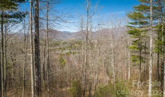 Saylor Lake Road, Bakersville, NC 28705