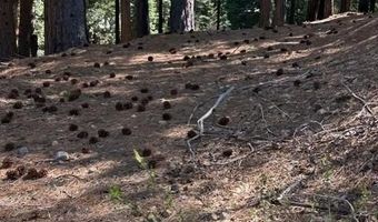 2179 Navajo, Arnold, CA 95223
