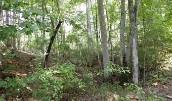 Adams Road, Bankston, AL 35542