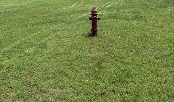 Pine Valley Avenue, Afton, OK 74331