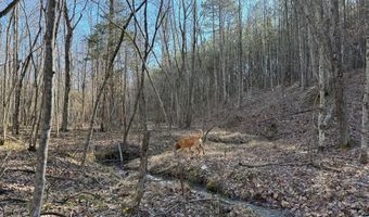 MOUNTAIN CUT RD lot D, Appomattox, VA 24522