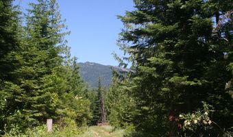 18 Majestic Mountain Rd, Clark Fork, ID 83811