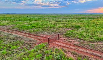 HWY 79, Archer City, TX 76374