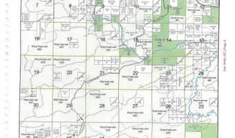 TBD OFF CR 426, Arnold, MI 49819