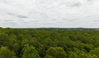 14782 County Road 7990, Bakersfield, MO 65609