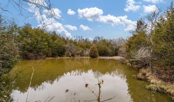 Smithtown Road, Afton, TN 37616