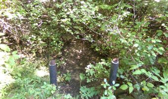 V/L 30AC Lake Winyah Road, Alpena, MI 49707