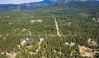 1246 Blanchard Cutoff, Blanchard, ID 83804