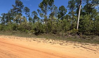 Fremont Avenue, Alford, FL 32420
