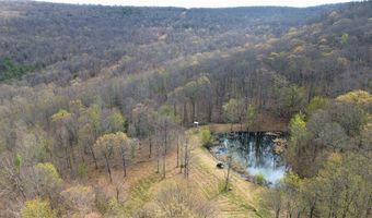 320 Acres CR 921, Alpena, AR 72611