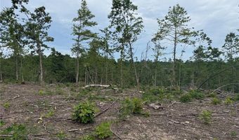 Tract 4 Hidden Valley, Annapolis, MO 63628