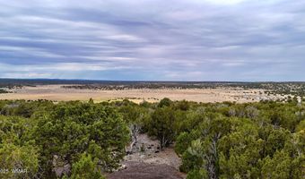 37 Co Rd N8174 10.1 Acres, Concho, AZ 85924