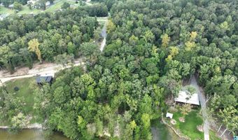 0 GIBSON COVE Dr 3 Acres, Ashville, AL 35953