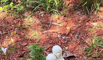 6803 NW 168TH St, Alachua, FL 32615