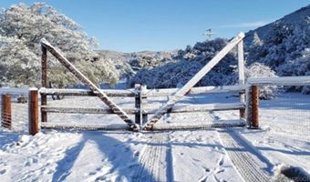 23475 Trappers Hollow Rd, Alpine, CA 91901