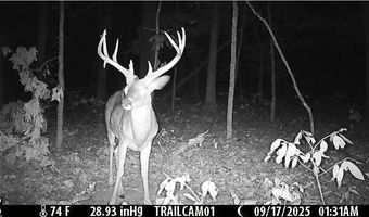 1307 Route Af, Ava, MO 65608